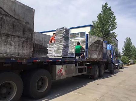 廠區(qū)實(shí)體圖